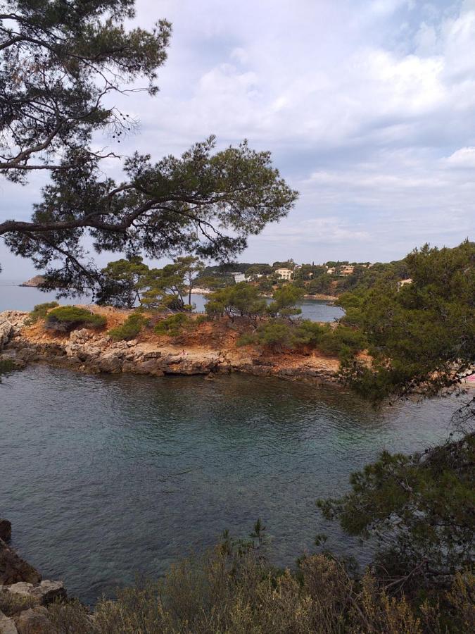 Joli studio res au calme en rez de jardin à Bandol. Esterno foto